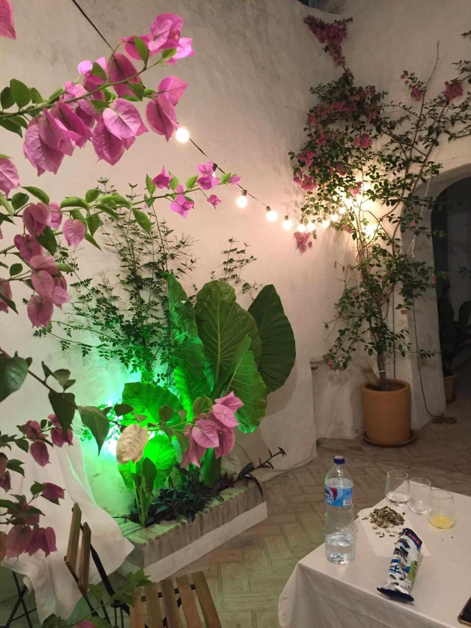 Antiqua Centro De Vejer Con Wifi Grupo Ac Gestion Βίλα Vejer de la Frontera Εξωτερικό φωτογραφία